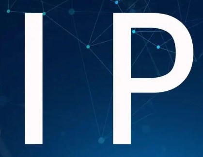 什么是ip？ip和流量有什么区别有哪些？