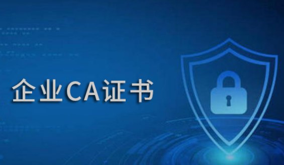 ca证书的证书数据中包括哪些信息？